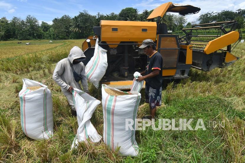 Panen petani di Desa Pamarican, Kecamatan Purwadadi, Kota Banjar, pada Rabu (9/3/2022), mengalami peningkatan. 