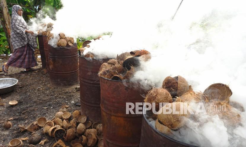 Pekerja membakar batok kelapa untuk dijadikan arang di Desa Pangale, Kabupaten Mamuju Tengah, Sulawesi Barat, Jumat (12/11/2021). Arang tempurung kelapa yang dijadikan bahan bakar industri, memenuhi pemintaan sejumlah rumah makan di Pulau Sulawesi dan ekspor ke Timur Tengah tersebut jual seharga Rp6 ribu per kilogram.