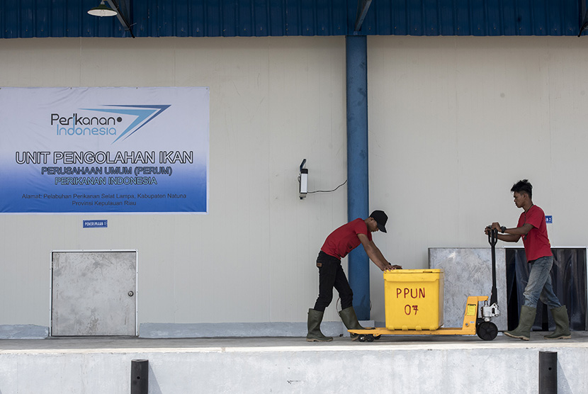 Pekerja membawa ikan menuju Cold Storage Unit Pengolahan Ikan Perum Perindo, Selat Lampa, Kabupaten Natuna, Kepulauan Riau.