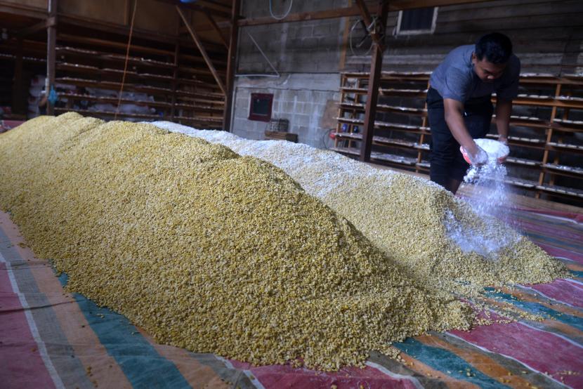 Pekerja memberikan campuran tempung pada kacang kedelai untuk pembuatan tempe di salah satu Industri Kecil Menengan (IKM), Desa Tanjung, Kecamatan Ingin Jaya, Kabupaten Aceh Besar, Aceh. ilustrasi