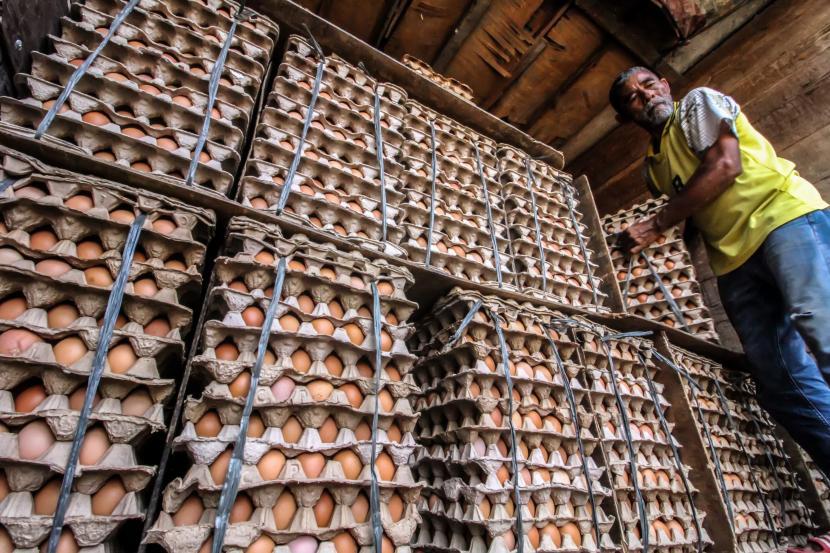 Pekerja membongkar muat telur ayam di pasar tradisional.