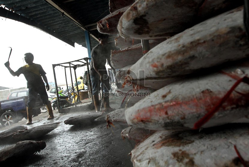 Pekerja membongkar muatan ikan laut di Pelabuhan Samudra Nizam Zahman, Jakarta, Ahad (13/10).  (Republika/Adhi Wicaksono)