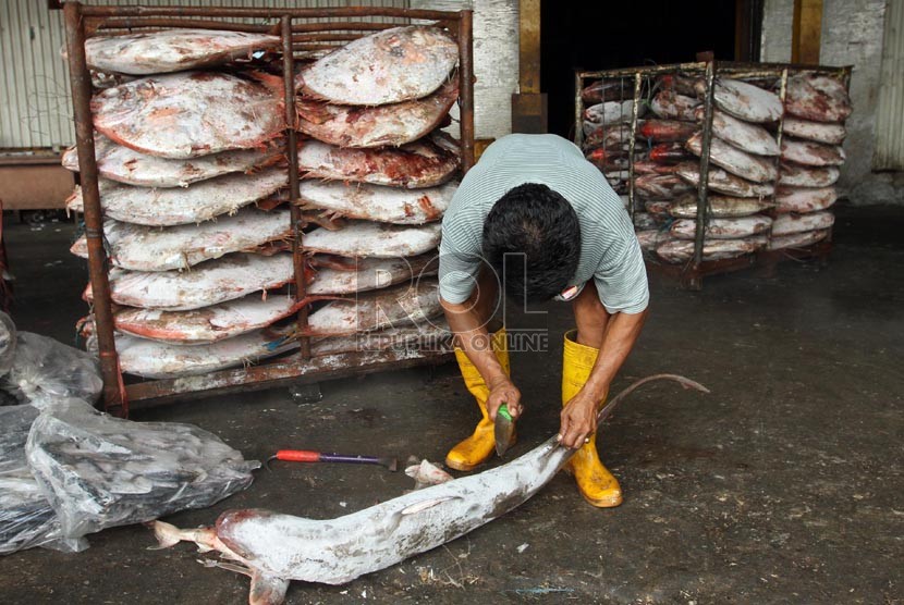  Pekerja membongkar muatan ikan laut di Pelabuhan Samudra Nizam Zahman, Jakarta, Ahad (13/10).  (Republika/Adhi Wicaksono)