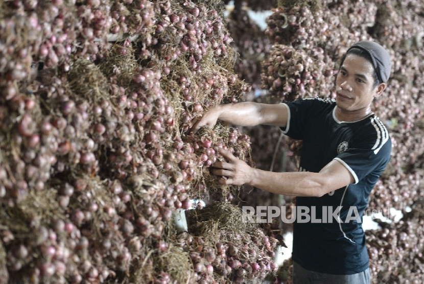 Pekerja memeriksa bawang merah yang dikeringkan di Gudang Bulog Divre Jakarta, Senin (16/5).  (Republika / Wihdan )