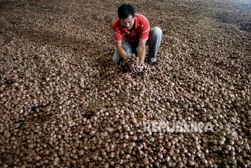 Pekerja memeriksa bawang merah yang dikeringkan di Gudang Bulog Divre Jakarta, Senin (16/5).  (Republika / Wihdan )
