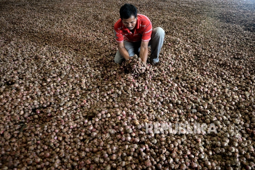 Pekerja memeriksa bawang merah yang dikeringkan di Gudang Bulog, ilustrasi