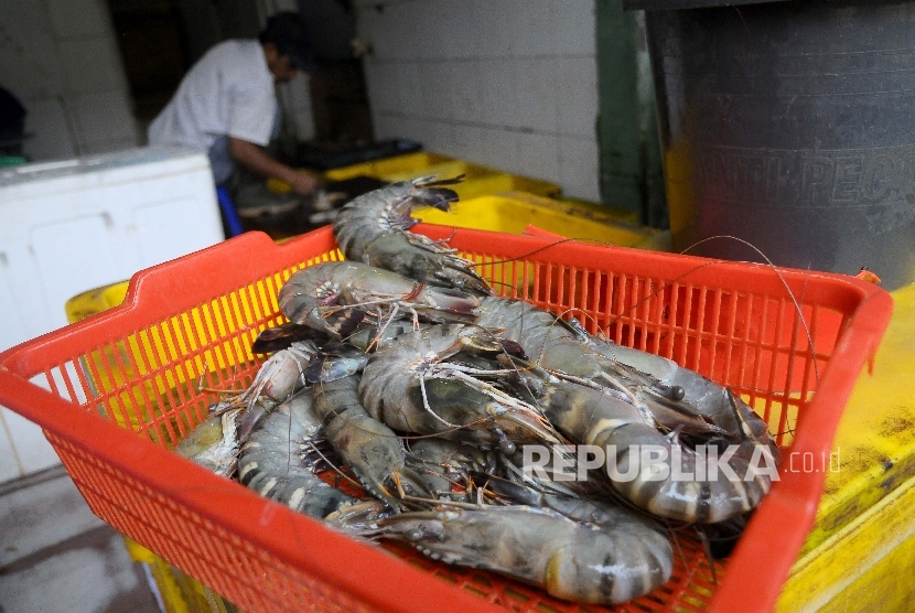 Masyarakat agar cermat memilih udang untuk mengantisipasi masuknya udang plastik dari Cina (ilustrasi)