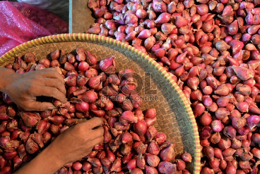 Pekerja memilih bawang merah di Pasar Induk Kramat Jati, Jalarta, Selasa (10/2). (Republika/Prayogi)