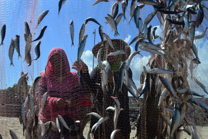 Pekerja memindahkan ikan jenis lemuru hasil tangkapan nelayan dari jaring di Pantai Kelan, Bali, Senin (22/2).