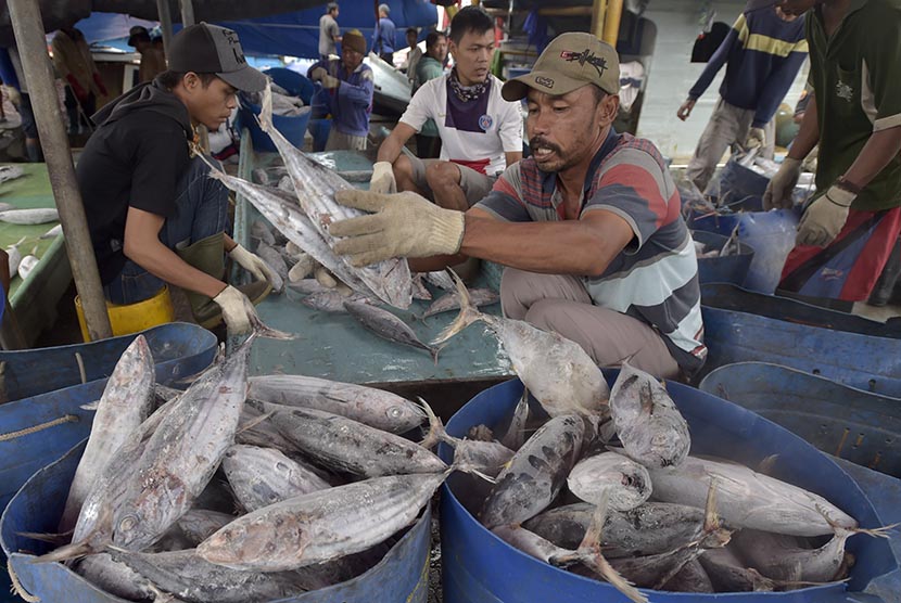 Pekerja memindahkan ikan tuna hasil tangkapan dari kapal di Pelabuhan Muara Baru, Jakarta, senin (5/12). 