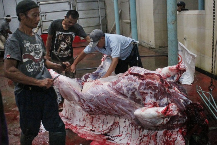 Pekerja memotong daging sapi di rumah pemotongan hewan (RPH) di Teluknaga, Tangerang, Banten, Jumat (24/5/2019) dinihari. 