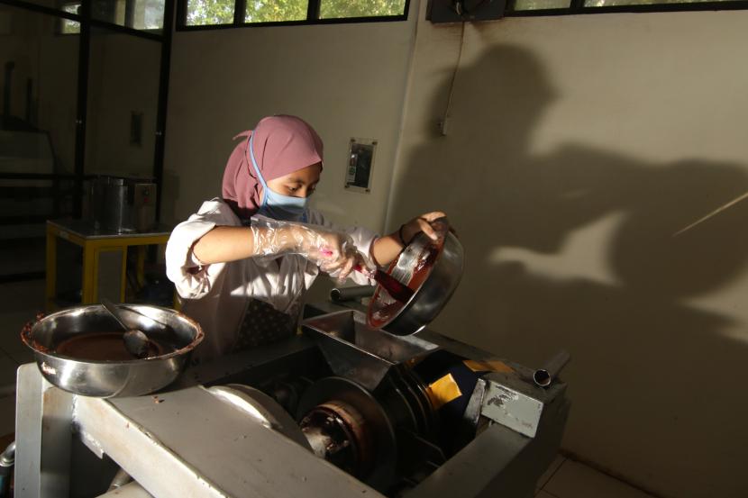 Pekerja memproses biji kakao menjadi bungkil cokelat di Dusun Kakao Glenmore, Perkebunan Kendeng Lembu, PTPN XII, Banyuwangi, Jawa Timur. 
