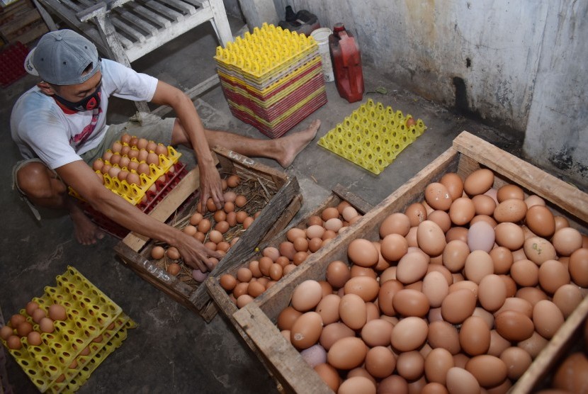 Pekerja menata telur ayam di tempat usaha ternak ayam petelur di Takeran, Magetan, Jawa Timur, Jumat (13/7).