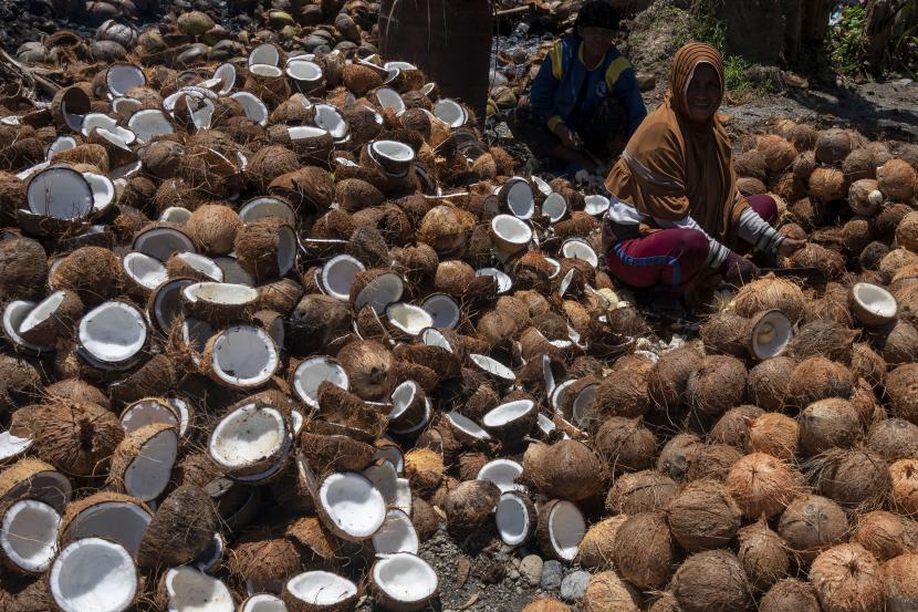Pekerja mencongkel isi kelapa untuk dijadikan kopra putih, Kamis (10/3/2022). Dinas Perkebunan Provinsi Sulawesi Utara mendorong kelompok tani (poktan) untuk memproduksi minyak kelapa saat harga komoditas ini sedang mahal.