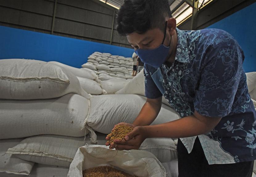 Pekerja mengecek kualitas gabah kiriman dari petani di Gudang Perum BULOG di Kampung Legok, Serang, Banten, Jumat (5/3/2021). Sekretaris Perusahaan Perum BULOG Awaludin Iqbal menyatakan selama Januari-Februari 2021 pihaknya telah menyerap 35 ribu ton gabah petani dan hingga akhir tahun ditargetkan akan menyerap 1,45 juta ton gabah petani guna melindungi petani supaya harga gabah stabil saat panen dan di tingkat konsumen serta untuk menjaga stok beras nasional. 