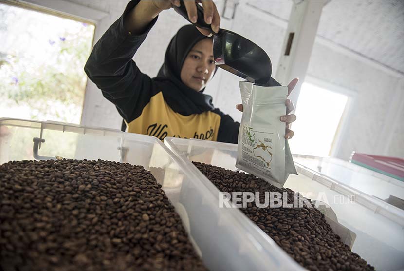 Pekerja mengemas biji kopi panggang arabica di Basecamp Persaudaraan Gunung Puntang Indonesia (PGPI) Shelter Kopi Sunda Hejo, Gunung Puntang, Kabupaten Bandung, Jawa Barat, Senin (2/10). 