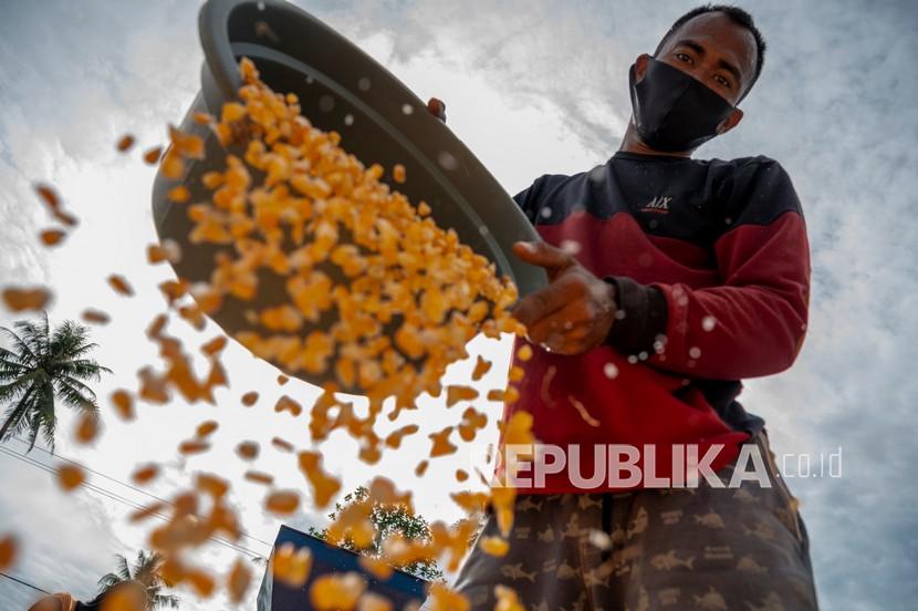 Pekerja mengeringkan jagung yang baru dipipil di Desa Balongga, Sigi, Sulawesi Tengah, Senin (6/9/2021). Kementerian Perdagangan (Kemendag) menyatakan siap untuk memberikan subsidi harga jagung sebanyak 30 ribu ton untuk membantu para peternak unggas demi kebutuhan pakan. 