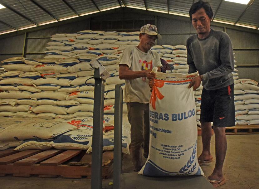 Pekerja menggotong beras di gudang Bulog (ilustrasi). Perum Bulog Sumatra Utara memastikan stok beras masih cukup aman sebanyak 8.900 ton, meski pembelian ke petani berkurang.
