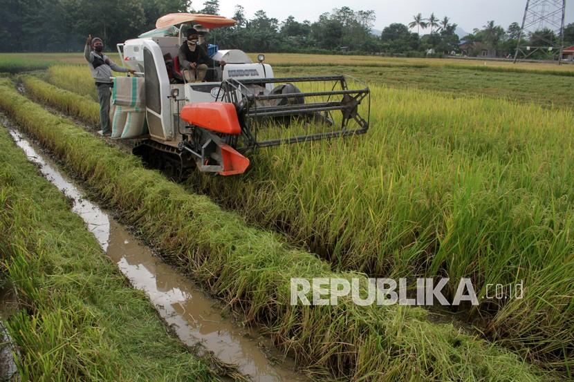 Pekerja mengoperasikan mesin pemanen padi milik petani di area persawahan Pattallassang, Kabupaten Gowa, Sulawesi Selatan, Sabtu (13/3/2021). Petani setempat berharap pemerintah dapat menyerap hasil panen padi mereka secara maksimal dan membatalkan rencana impor beras karena dinilai dapat berdampak pada penurunan harga gabah di tingkat petani. 