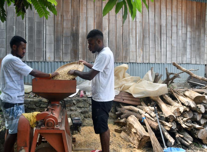 Pekerja mengoperasikan mesin pengupas biji kopi saat proses produksi kopi arabika papua. Kementerian Pertanian Republik Indonesia (Kementan) bersama lembaga Indonesia Food dan Agriculture dan Council (IFAC) akan menyiapkan road show peluncuran gerakan ekspor pangan pertanian Papua ke Amerika Serikat pada 28 November 2022.