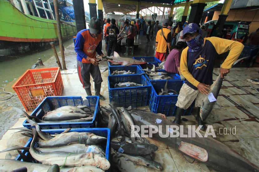 Pekerja mengumpulkan ikan hasil tangkapan nelayan di tempat pelelangan ikan Karangsong, Indramayu, Jawa Barat, Minggu(31/1/2021). Program padat karya di sektor perikanan ditargetkan bisa menyerap 4.600 tenaga kerja