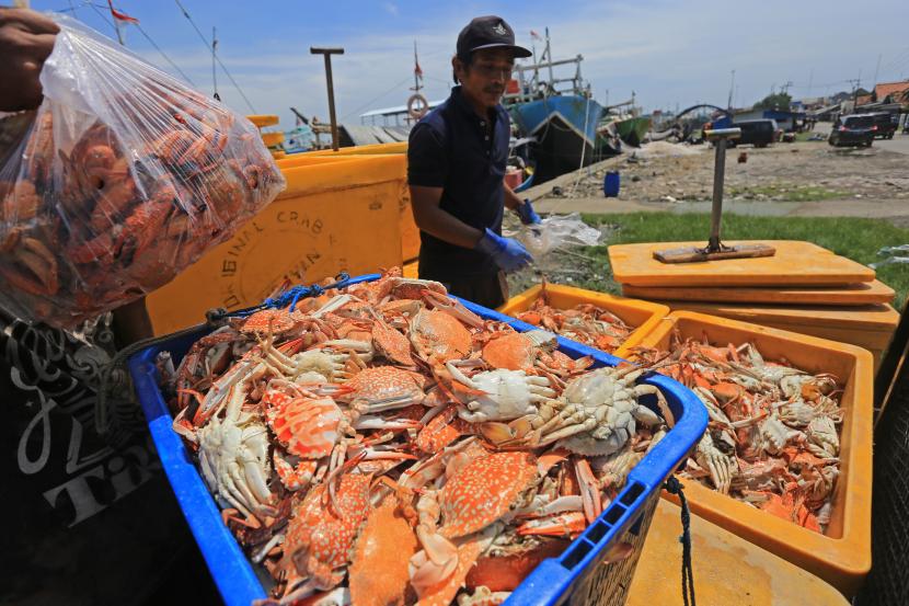 Pekerja mengumpulkan rajungan hasil tangkapan nelayan (ilustrasi)