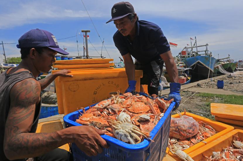 Pekerja mengumpulkan rajungan hasil tangkapan nelayan di Karangsong, Indramayu, Jawa Barat. Kementerian Kelautan dan Perikanan menyatakan permintaan ekspor rajungan pada tahun 2021 mencapai 610 juta dolar AS dan akan terus meningkat pada tahun 2022 dengan pasar utama yaitu Amerika Serikat, Tiongkok, Jepang, ASEAN dan Uni Eropa.