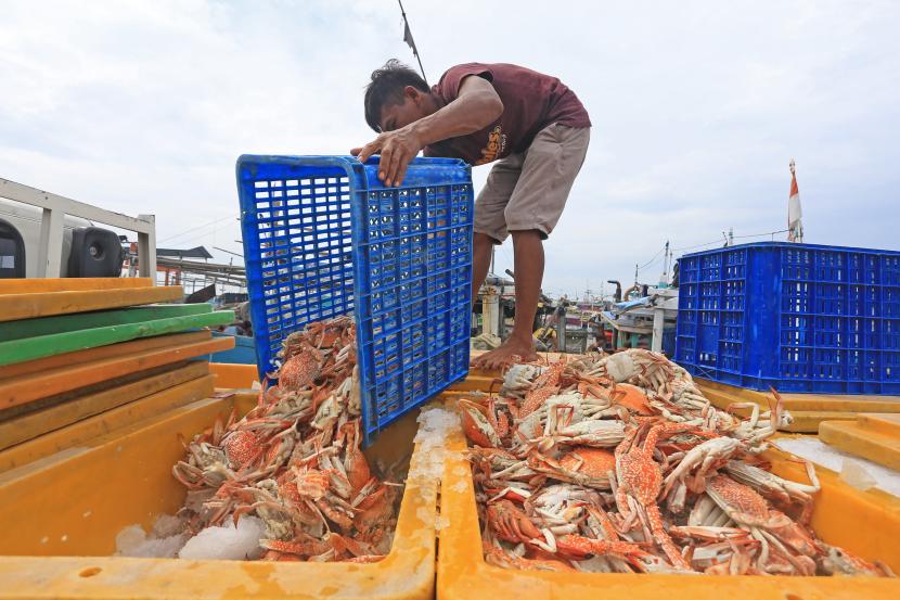 Pekerja mengumpulkan rajungan hasil tangkapan nelayan di Karangsong, Indramayu, Jawa Barat, Selasa (14/6/2022). Nelayan mengeluhkan harga rajungan yang anjlok dari harga Rp130 ribu per kilogram menjadi Rp60 ribu per kilogram karena permintaan ekspor ke pasar Amerika dan Eropa berkurang. 