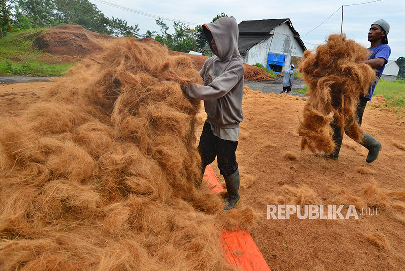 Pekerja mengumpulkan serabut kelapa setelah dijemur (Ilustrasi)