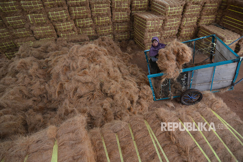 Pekerja mengumpulkan serabut kelapa 
