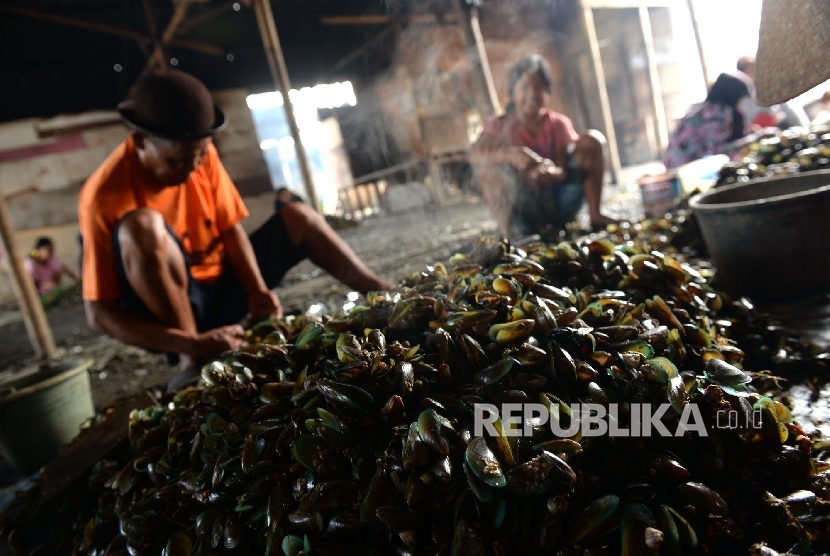  Pekerja mengupas kerang hijau di Muara Angke, Jakarta Utara, beberapa waku lalu. 
