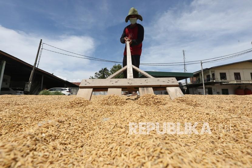 Pekerja menjemur gabah di sebuah tempat penggilingan padi di Kabupaten Aceh Besar, Aceh, Selasa (26/10/2021). Badan Pusat Statistik (BPS) mencatatkan nilai tukar petani (NTP) sebesar 106,67 pada Oktober 2021.