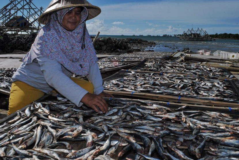 Pekerja menjemur ikan asin hasil tangkapan nelayan Sumur di Kampung Sumur, Sumur, Pandeglang, Banten.