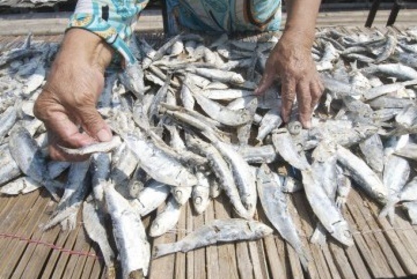 Pekerja menjemur ikan asin yang akan dijual ke konsumen. (Republika/Aditya Pradana Putra)
