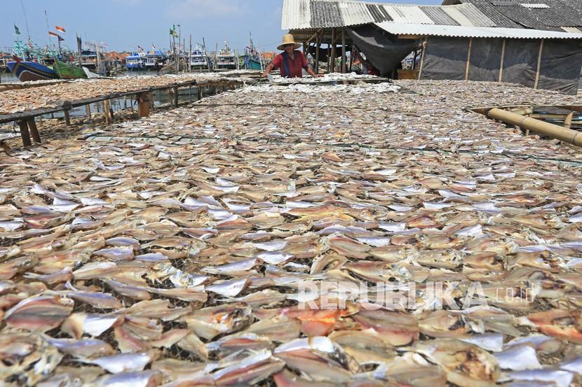 Ikan kering (ilustrasi). Provinsi Kepulauan Riau (Kepri) mengekspor produk perikanan sirip Pari Lontar dan Pari Kupu-kupu ke Hong Kong.