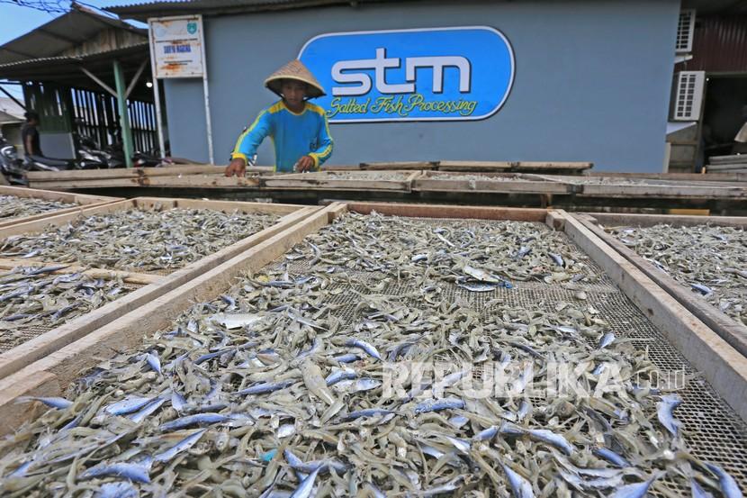 Pekerja menjemur ikan teri di sentra UMKM olahan ikan (ilustrasi).  Bank Indonesia (BI) menyebutkan perbankan menyalurkan 21,95 persen dari total kredit kepada pelaku Usaha Mikro, Kecil, dan Menengah (UMKM) pada kuartal I 2022.