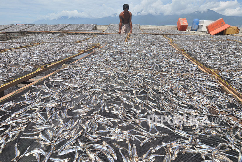 Pekerja menjemur ikan teri untuk dikeringkan di Perkampungan Nelayan, Kelurahan Mamboro, Palu Utara, Sulawesi Tengah, Sabtu (28/4).