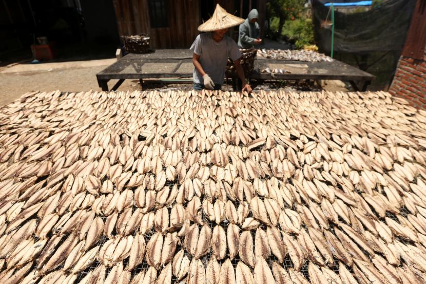 Pekerja menjemur ikan tongkol untuk diolah menjadi ikan kayu di Banda Aceh, Aceh. Badan Pusat Statistik (BPS) menyebutkan komoditas ikan tongkol menjadi penyumbang tertinggi inflasi Februari 2023 Provinsi Aceh yang tercatat sebesar 0,53 persen.