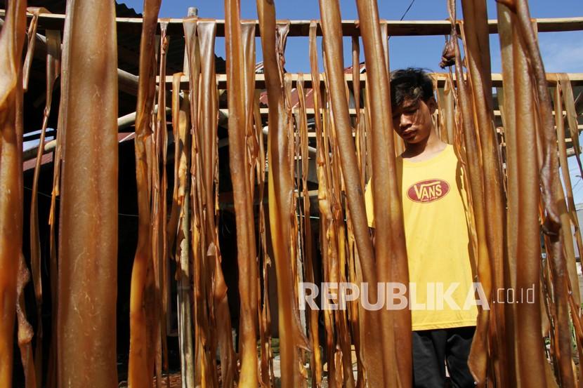 Pekerja menjemur kulit sapi untuk bahan baku kerupuk kulit di salah satu industri rumahan di Makassar. Kementerian Keuangan mengalokasikan anggaran untuk program Pemulihan Ekonomi Nasional (PEN) tahun 2022 sebesar Rp455,62 triliun.  (Ilustrasi)