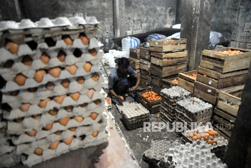  Pekerja menyortir telur ayam (Ilustrasi)