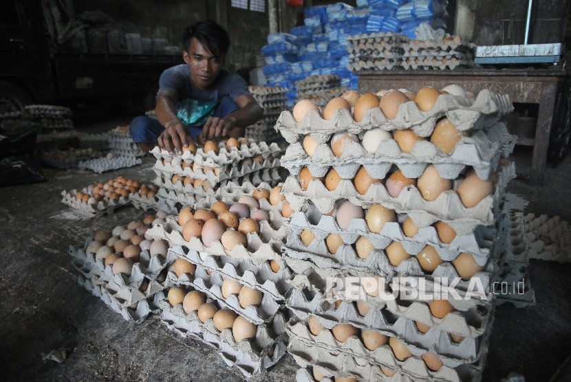  Pekerja mensortir telur ayam untuk dikirim ke warung-warung di agen penjualan telur Agung Jaya, Menteng Atas, Jakarta, Ahad (26/3). 