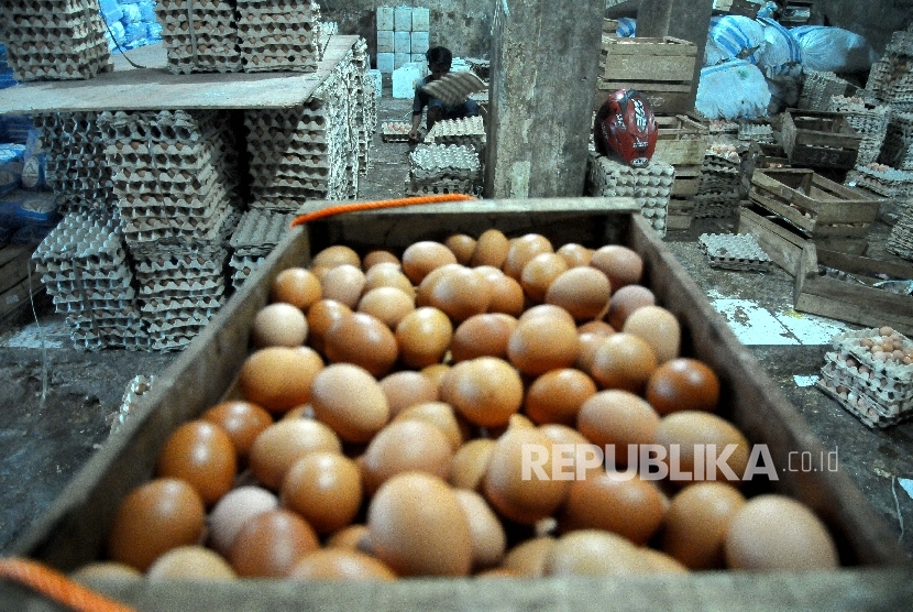 Pekerja mensortir telur ayam untuk dikirim ke warung-warung di agen penjualan telur Agung Jaya, Menteng Atas, Jakarta, Ahad (26/3). 