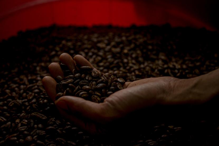 Pekerja menunjukan biji kopi saat proses roasting di tempat produksi Dunia Kopi di Pasar Santa, Jakarta.