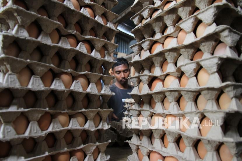 Pekerja menyortir dan membersihkan telur ayam di salah satu tempat penampungan telur. Peternak ayam petelur di Kabupaten Banyumas, mulai merasa lega. Hal ini menyusul mulai membaiknya harga telur ayam ras. 