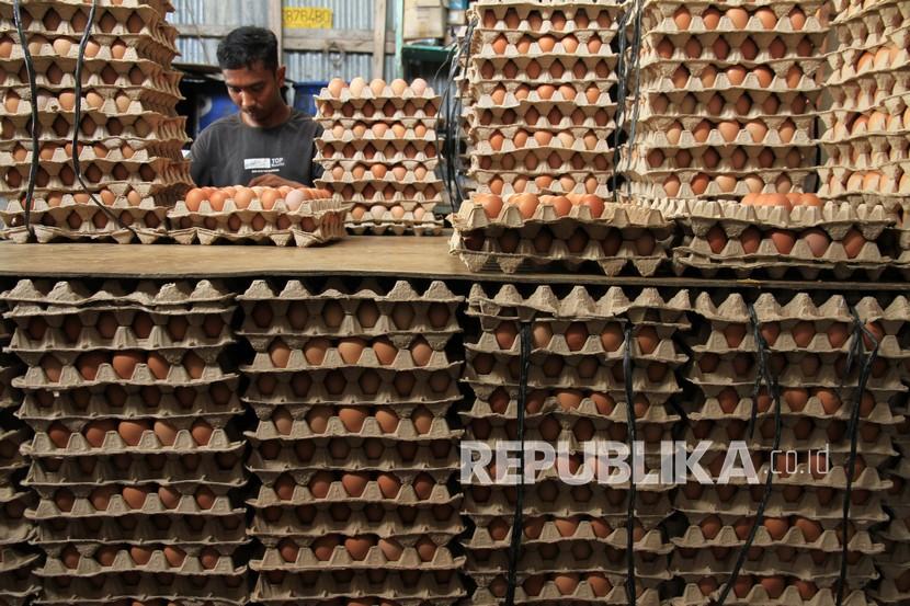 Dokter Sarankan Konsumsi Telur, Bergizi Lengkap dan Murah. Pekerja menyortir dan membersihkan telur ayam di salah satu tempat penampungan telur Desa Ujong Baroh, Kecamatan Johan Pahlawan, Aceh Barat, Aceh, Selasa (2/2/2021). Pelaku usaha mengaku, harga telur ayam sejak sebulan terakhir mulai turun dari Rp520.000 per ikat 10 papan telur menjadi Rp400.000 per ikat akibat minimnya permintaan. 
