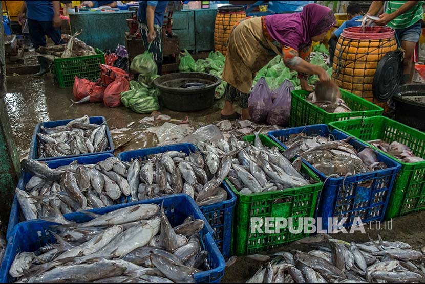 Pekerja menyortir ikan laut di sentra Pasar Ikan Rejomulyo di Semarang, Jawa Tengah, beberapa waktu lalu. BKIPM Semarang, Jawa Tengah mencatat kenaikan ekspor perikanan dalam tiga bulan terakhir di tengah pandemi Covid-19.