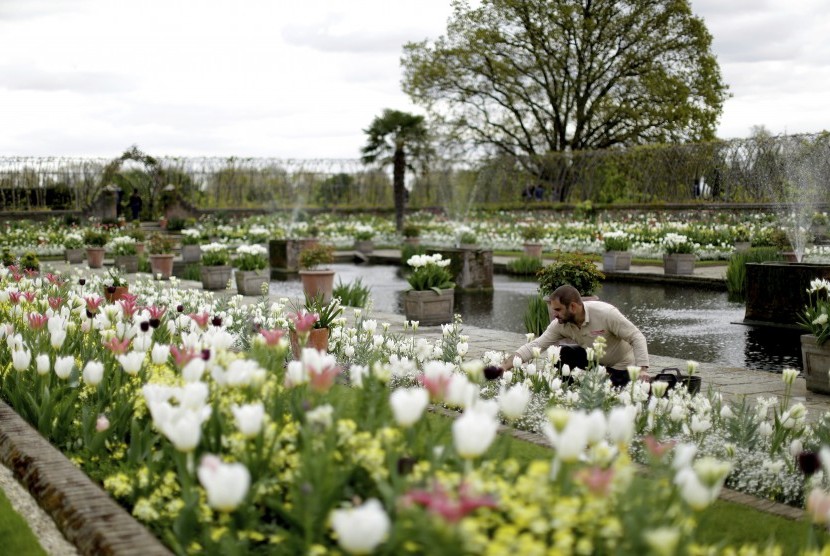 Pekerja merapikan bunga di Taman Memorial Putri Diana.