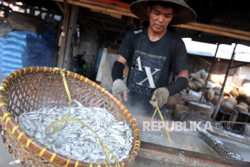 Pekerja merebus ikan dengan air garam di Cilincing, Jakarta Utara, Kamis (21/9).