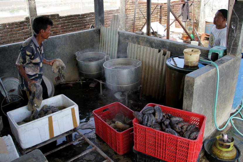 Pekerja merebus timun laut (teripang) di salah satu industri pengolahan teripang, Galesong, Kabupaten Takalar, Sulawesi Selatan, Jumat (8/10/2021). Kinerja sektor Industri Pengolahan kuartal III 2021 terindikasi menurun.