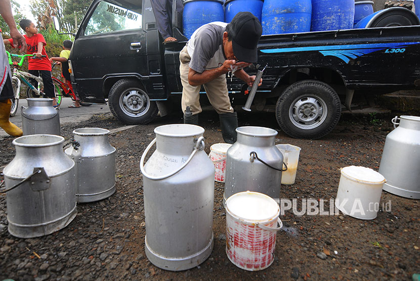 Pekerja pengepul susu mengecek susu yang diperoleh para peternak sapi (ilustrasi)